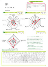 個人結果図版